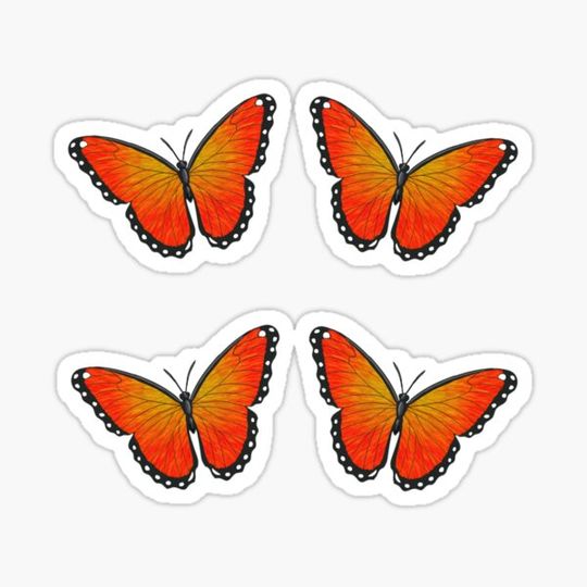 Discover Monarch Butterflies