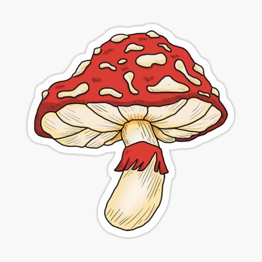 Discover Cottagecore Mushroom