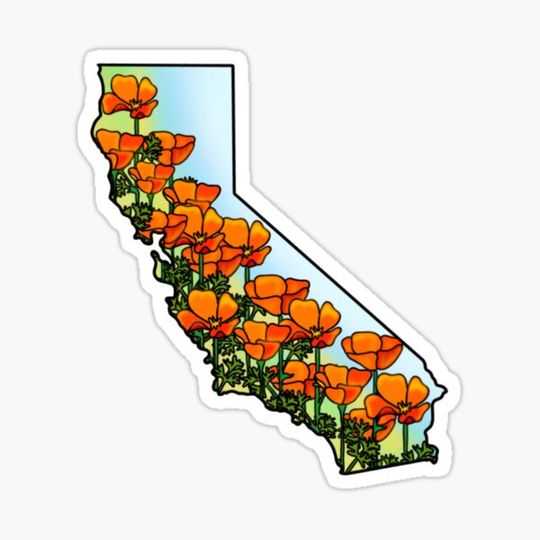 Discover California Poppies