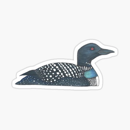 Discover Loon