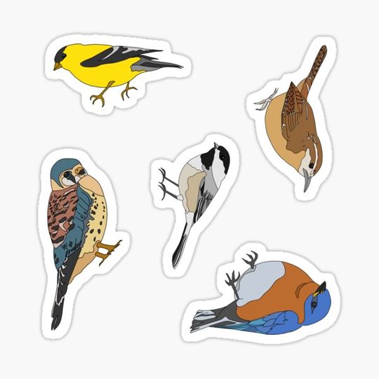 Discover bird sticker pack!