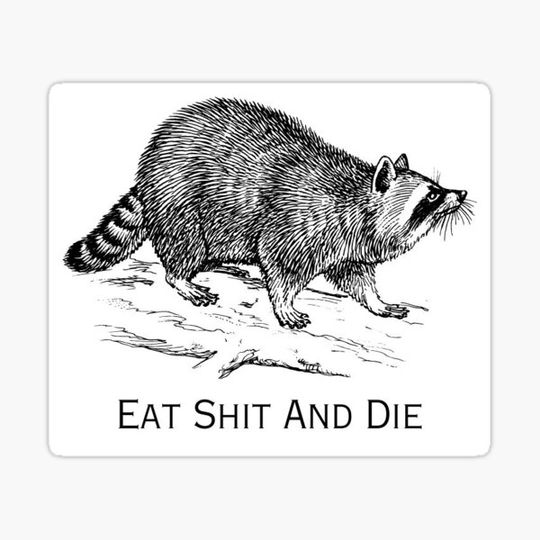 Discover Raccoon