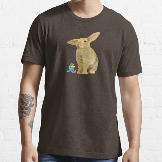 Discover year of the rabbitt