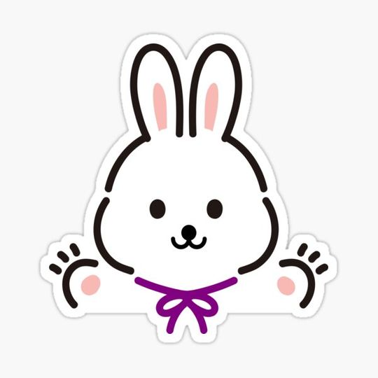 Discover Cute Bunny Rabbit