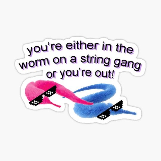 Discover worm on a string gang