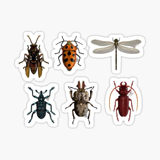 Discover Insect sticker collection by The Fauna Artist