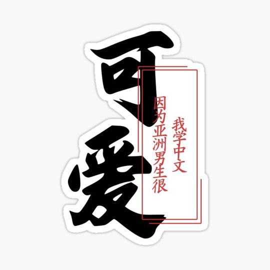 Discover Funny Chinese Text: Chinese Crush 我学中文因为亚洲男生很可爱