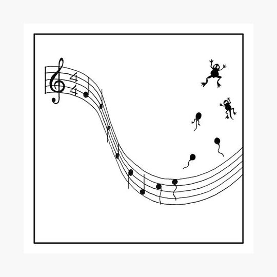 Discover Water music