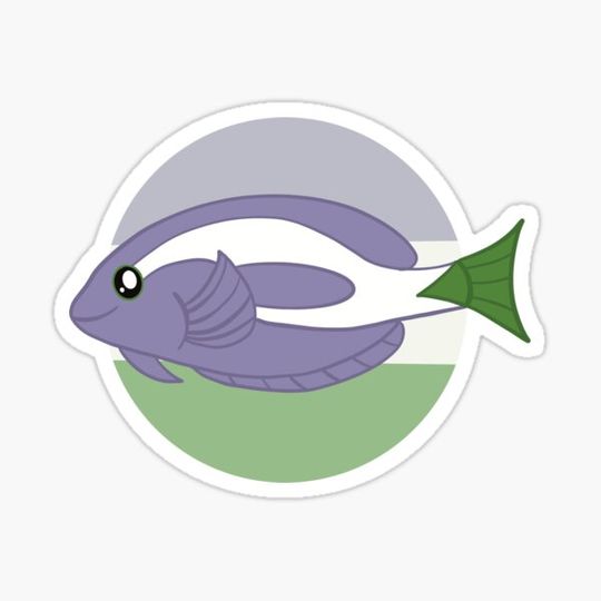 Discover Genderqueer Pride Surgeonfish