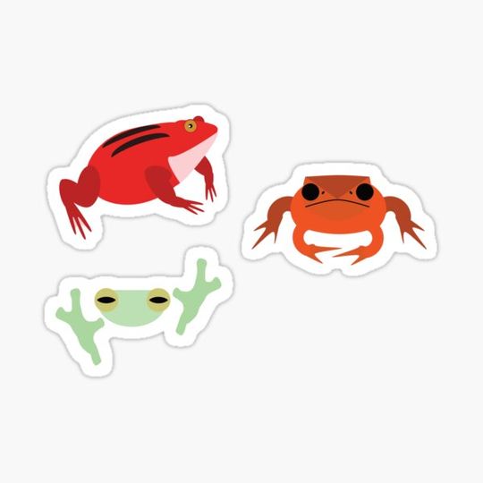Discover The Amphibious Trio (Be Sure to Check Sizes)