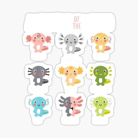 Discover Axolotls Of The World Axolotl Amphibian Animal Lovers Kawaii