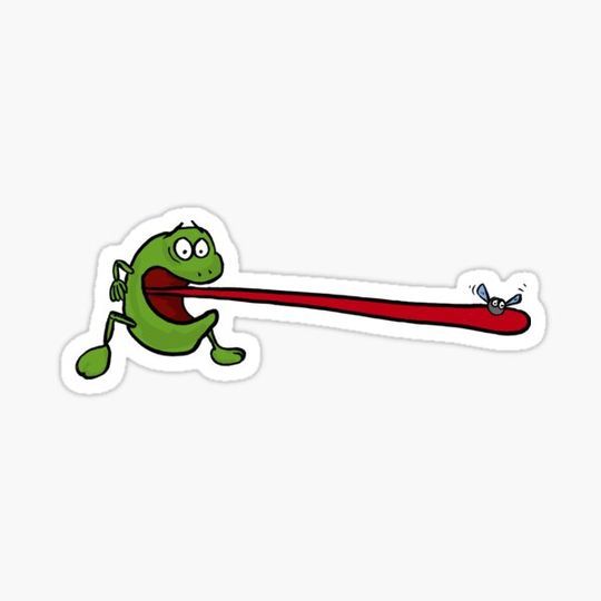 Discover A frog catches a fly