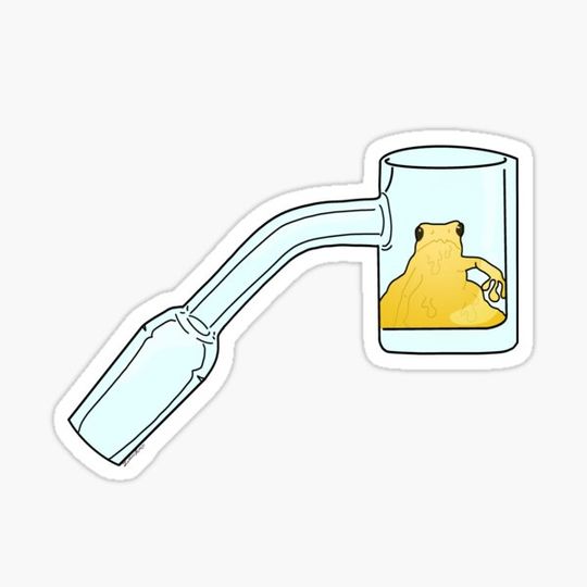 Discover Waxy Frog