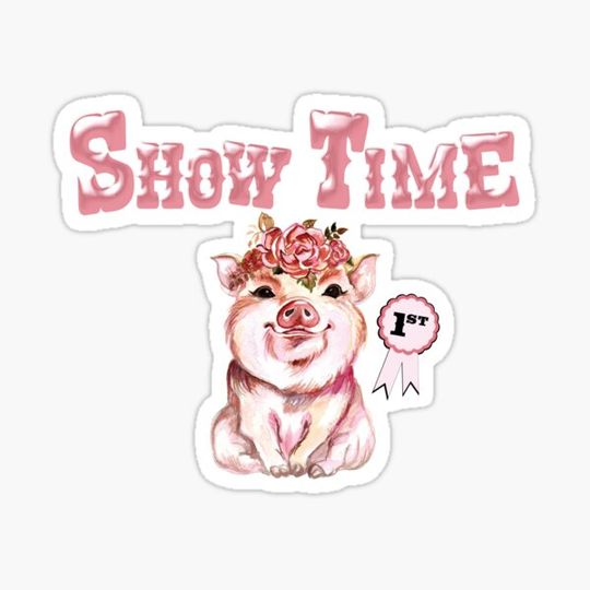 Discover Show Time - Cute Stock Show - Pig