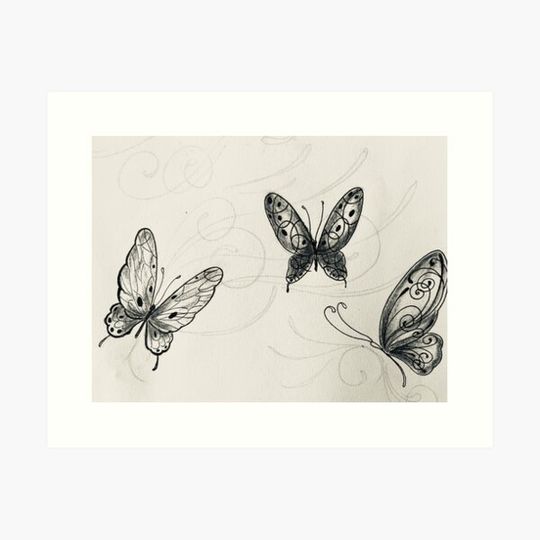 Discover butterflies
