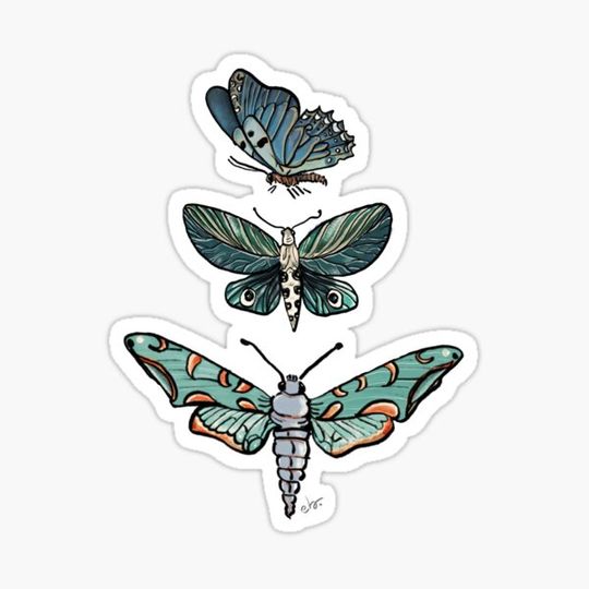 Discover Magic Moth & Butterfly in the Midnight Teal Green Garden_watercolor painted