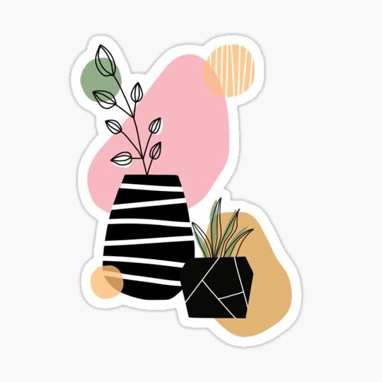 Discover Potted plants