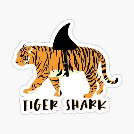 Discover Tiger Shark - Tiger with a shark fin design