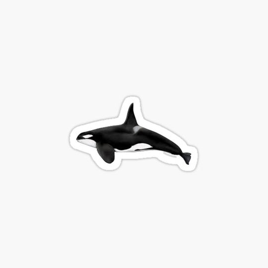 Discover Orca Sticker