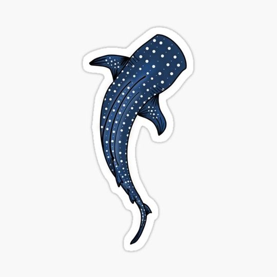 Discover Whale Shark