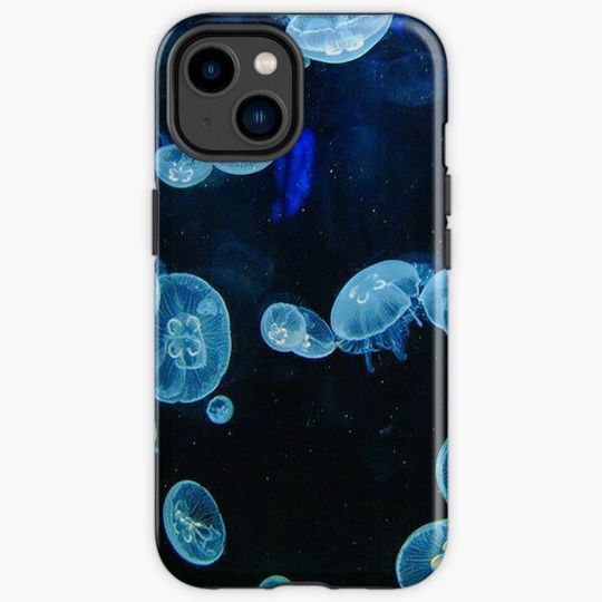 Discover Moon Jellies