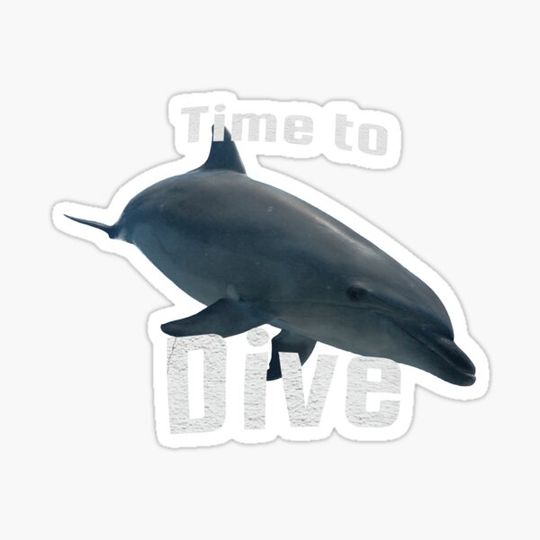 Discover Time to Dive - Dolphin