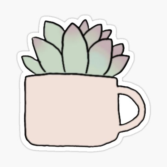 Discover Succulent in a Mug