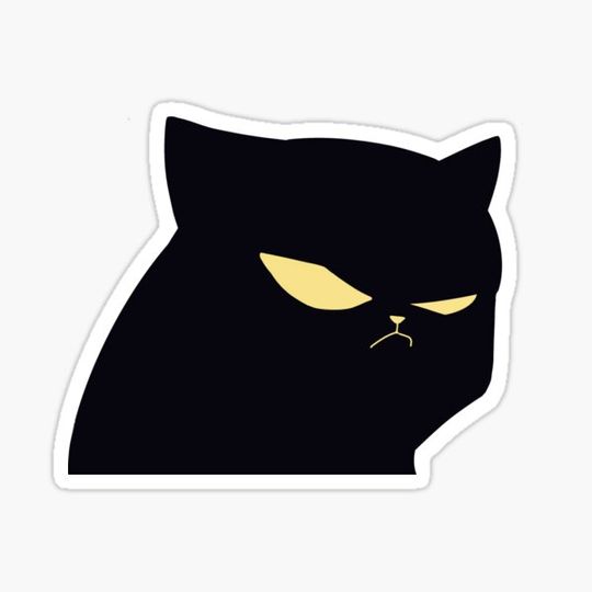 Discover Batcat - Grumpy Black Cat