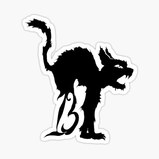 Discover Lucky No 13 Cat