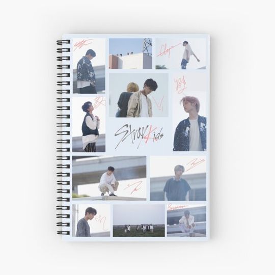 Discover Stray Kids Autographs (Voices MV)