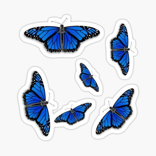 Discover Monarch Butterfly Rapsody