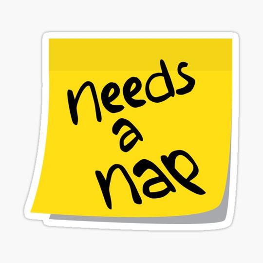 Discover Needs a Nap