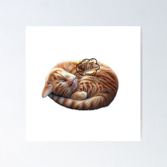 Discover CAT NAP