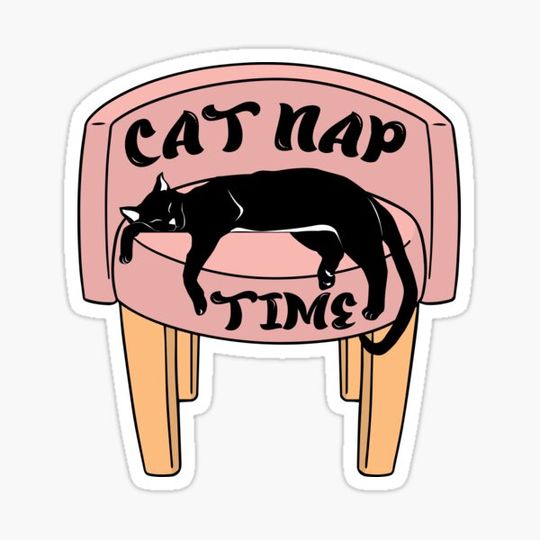 Discover Cat Nap Time