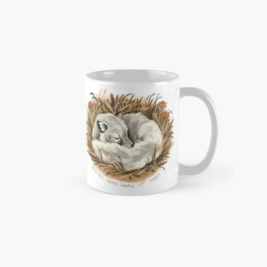 Sleeping Arctic Fox