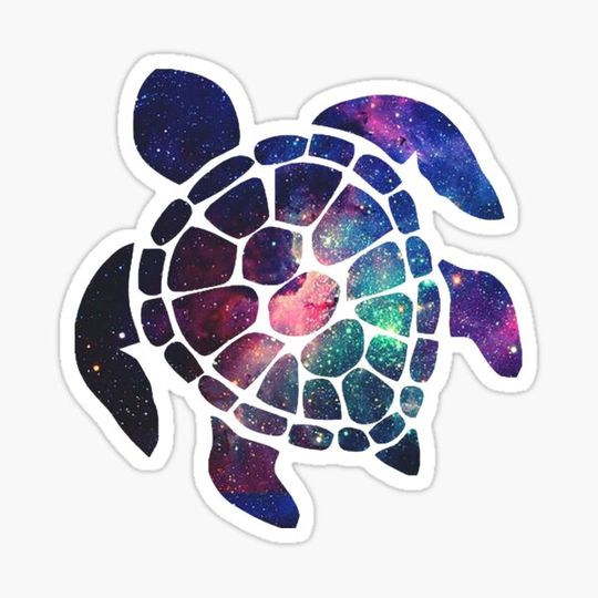 Discover Turtle - Galaxy 10