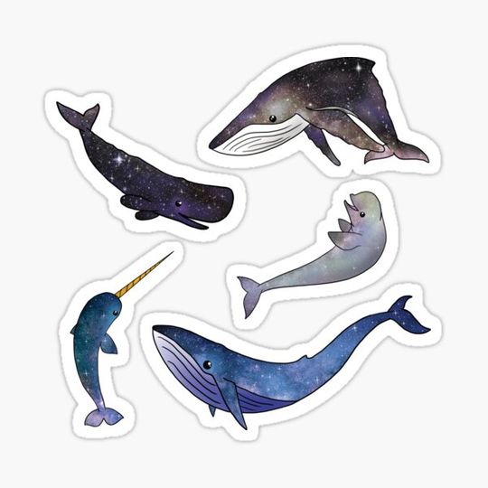 Discover Space Whales