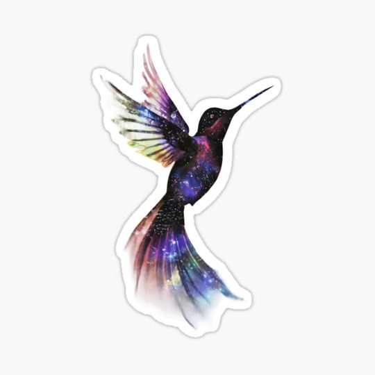 Discover Humming Bird Watercolor