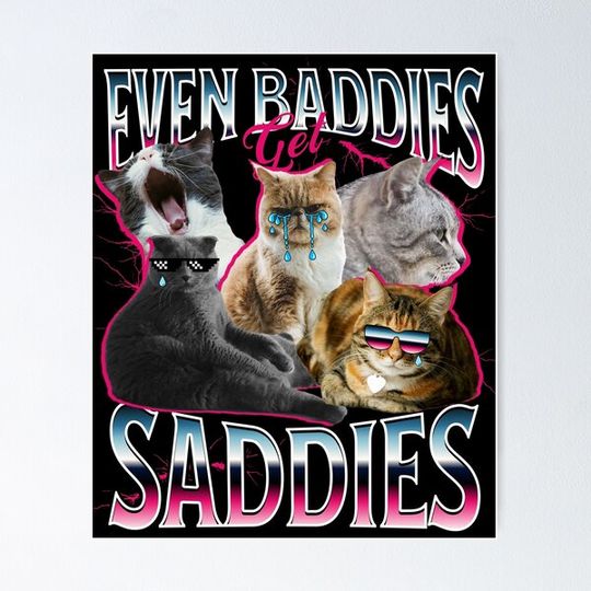 Discover Even Baddies Get Saddies Funny Cat Meme