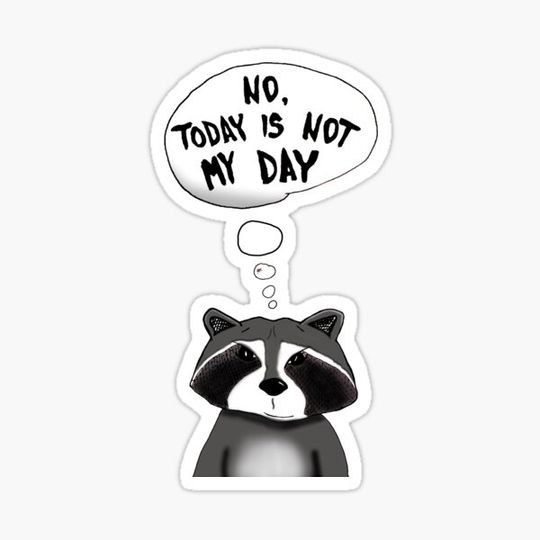Discover Cool Raccoon