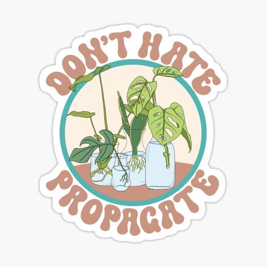 Discover Don't Hate, Propogate