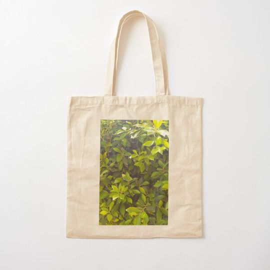 Discover Copy of Forrest zaouia