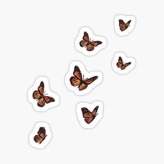Discover Flight of the Monarch Butterfly
