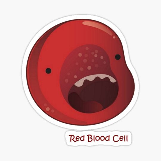 Discover Red blood cell