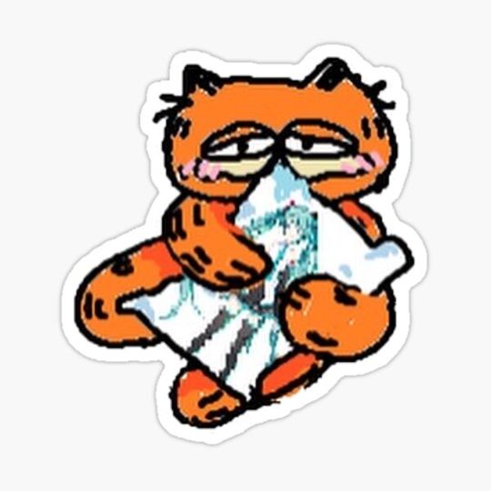 Discover Garf pillow