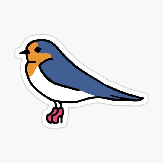Discover Sassy Swallow