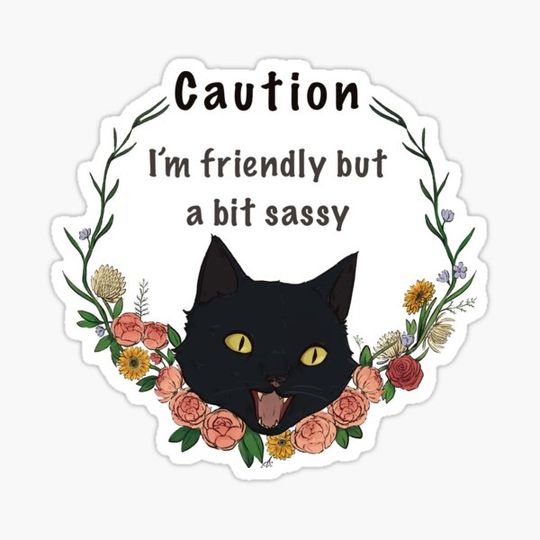 Discover Friendly but sassy