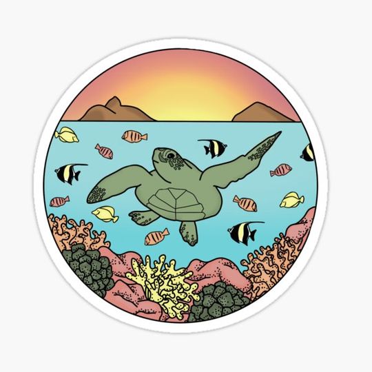 Discover Hawaiian Sea Turtle
