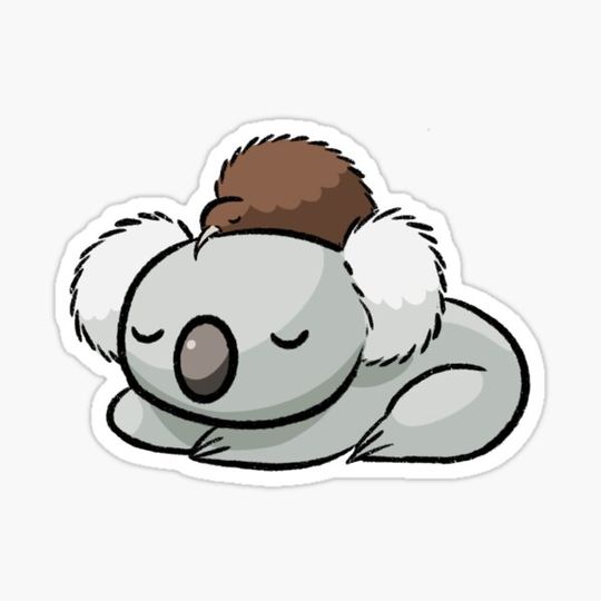 Discover Kiwi & Koala Nap