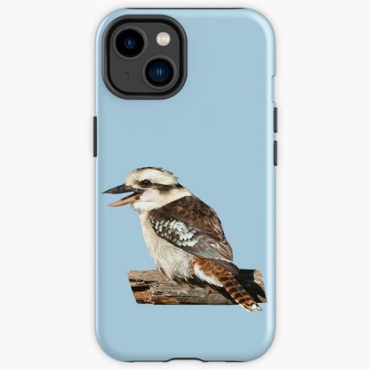 Discover Laughing Kookaburra 5